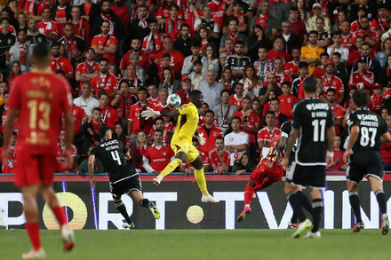 Liga Portugal Betclic: Gil Vicente x Benfica