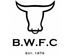 Builth Wells FC