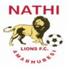 Nathi Lions
