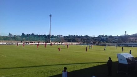 Benf. Castelo Branco 2-1 Torreense