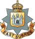 East Surrey Regiment